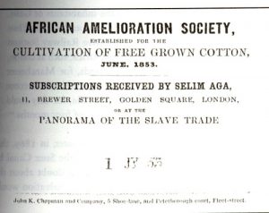 African Amelioration Society